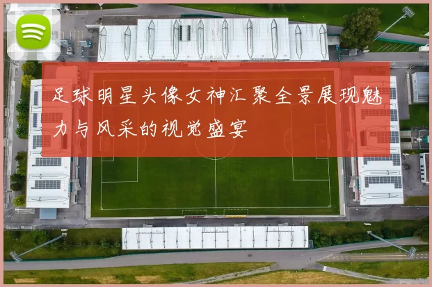 足球明星头像女神汇聚全景展现魅力与风采的视觉盛宴