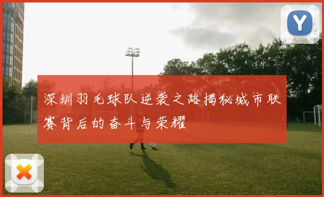 深圳羽毛球队逆袭之路揭秘城市联赛背后的奋斗与荣耀