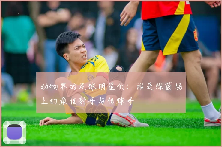 动物界的足球明星们：谁是绿茵场上的最佳射手与传球手