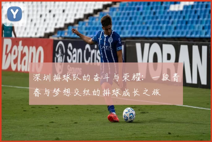 深圳排球队的奋斗与荣耀：一段青春与梦想交织的排球成长之旅