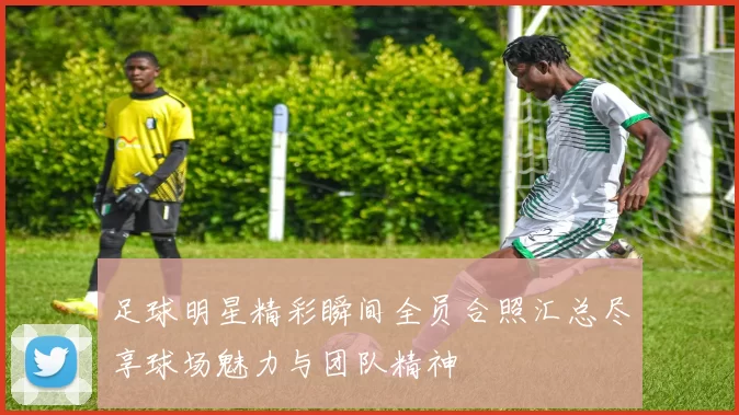 足球明星精彩瞬间全员合照汇总尽享球场魅力与团队精神