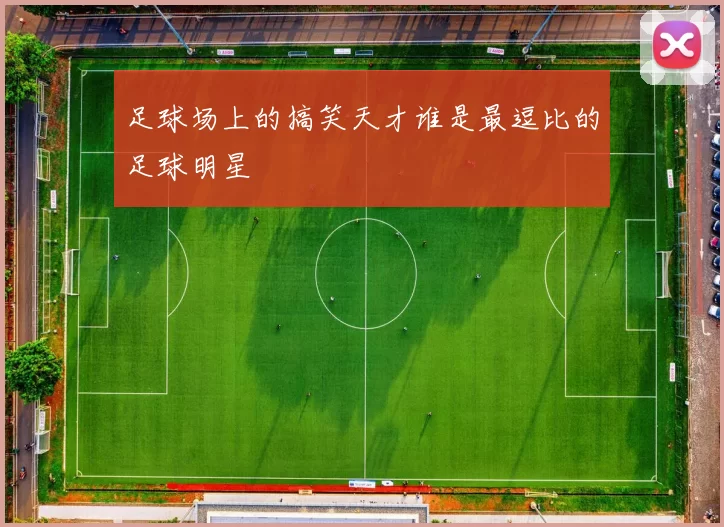 足球场上的搞笑天才谁是最逗比的足球明星