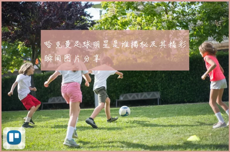 哈克曼足球明星是谁揭秘及其精彩瞬间图片分享
