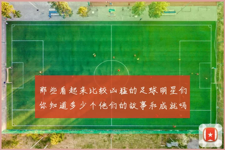 那些看起来比较凶猛的足球明星们你知道多少个他们的故事和成就吗