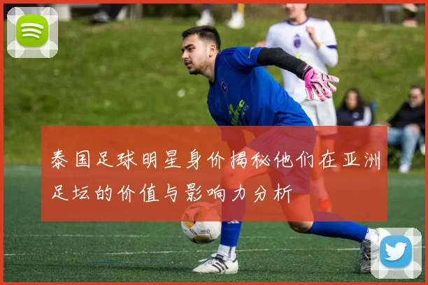 泰国足球明星身价揭秘他们在亚洲足坛的价值与影响力分析