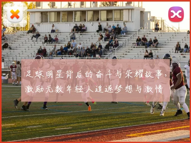 足球明星背后的奋斗与荣耀故事，激励无数年轻人追逐梦想与激情