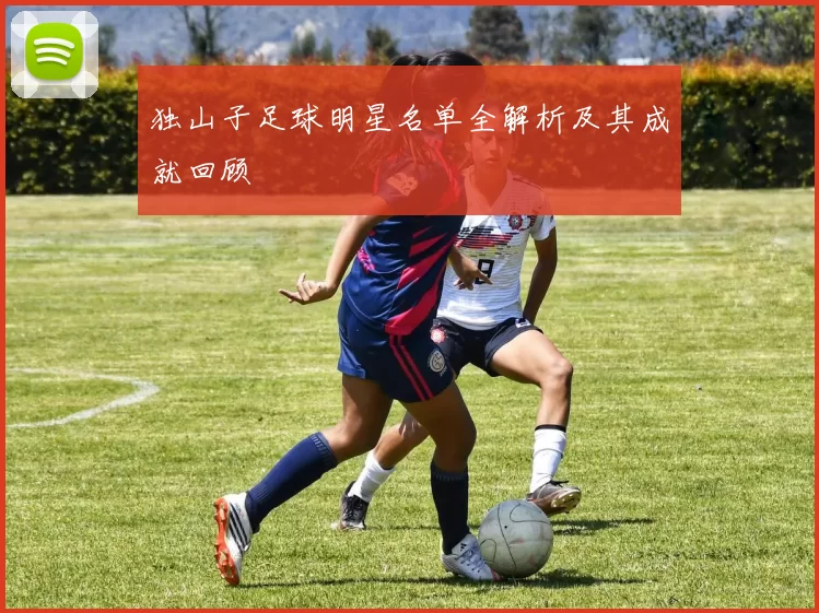 独山子足球明星名单全解析及其成就回顾