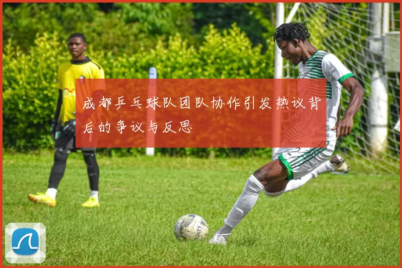 成都乒乓球队团队协作引发热议背后的争议与反思
