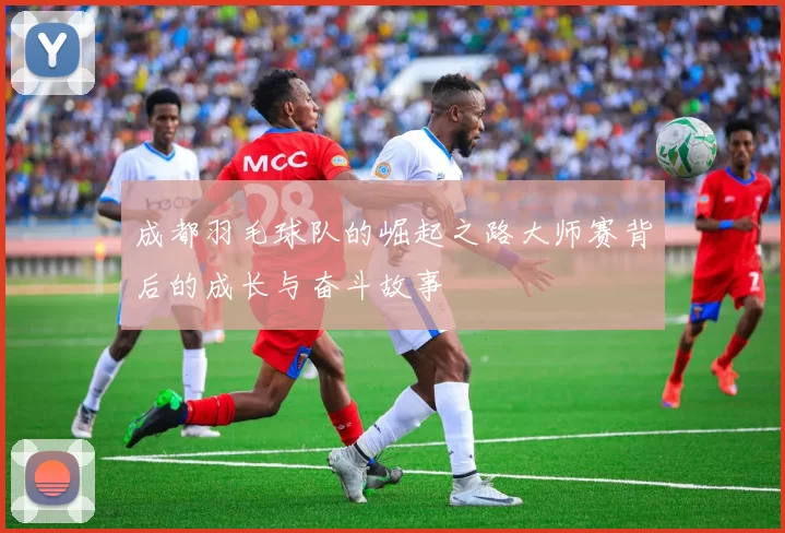 成都羽毛球队的崛起之路大师赛背后的成长与奋斗故事