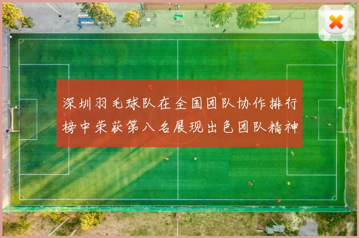 深圳羽毛球队在全国团队协作排行榜中荣获第八名展现出色团队精神与实力