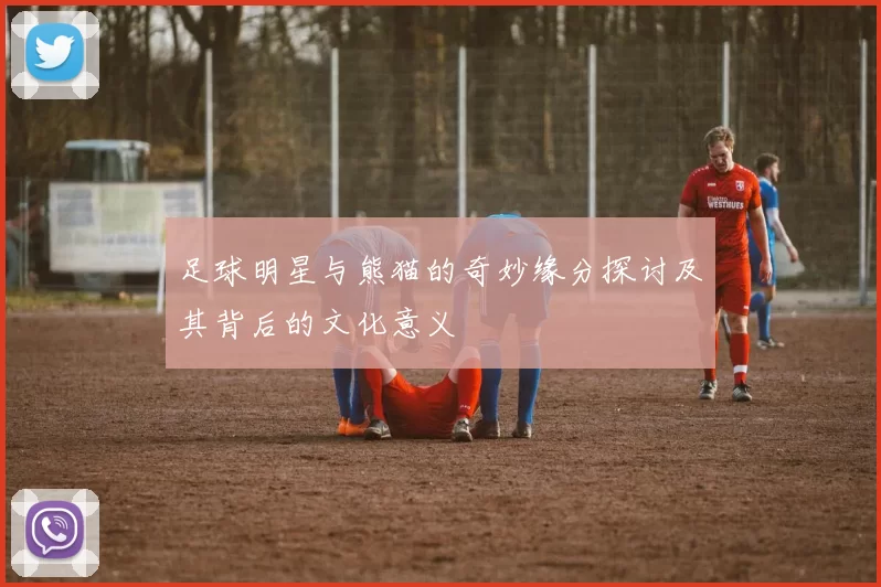 足球明星与熊猫的奇妙缘分探讨及其背后的文化意义